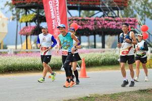 BIB: 
                            <button type="button" onclick="openModal(27895624)" class="btn btn-primary btn-sm float-right btn-popup" data-toggle="modal" data-target=".modal-high-quality">
                        <i class="fas fa-shopping-cart"></i> Add to Cart
                    </button>
                                            <button type="button" onclick="isThisMe(27895624, true)" class="btn btn-success btn-sm float-right btn-popup btn-isme hidden" data-toggle="tooltip" data-placement="bottom" title="นี่คือรูปของคุณใช่ไหม คลิกที่นี่เพื่อเอาเข้าอัลบั้ม">
                        <i class="fas fa-plus"></i> Add to album
                    </button>
                    <button type="button" onclick="isThisMe(27895624, false)" class="btn btn-warning btn-sm float-right btn-popup btn-isnotme hidden">
                        <i class="fas fa-ban"></i> Remove from album
                    </button>